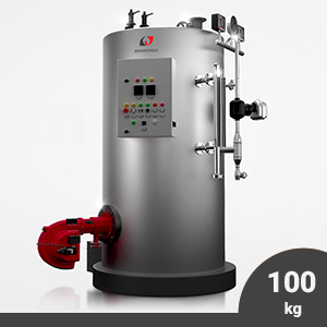 دیگ بخار عمودی 100 کیلوگرم